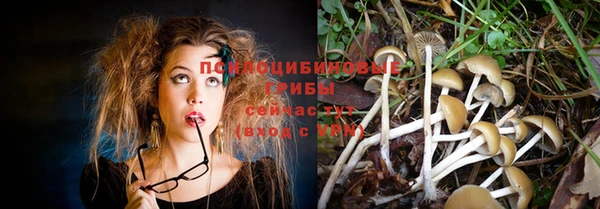 синтетический гашиш Лабытнанги