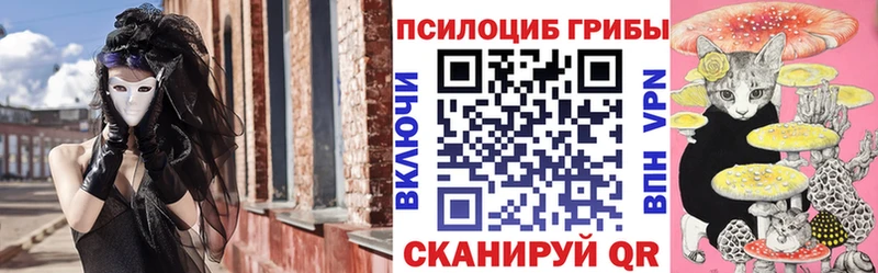 блэк спрут маркетплейс  Тогучин  Псилоцибиновые грибы мицелий 