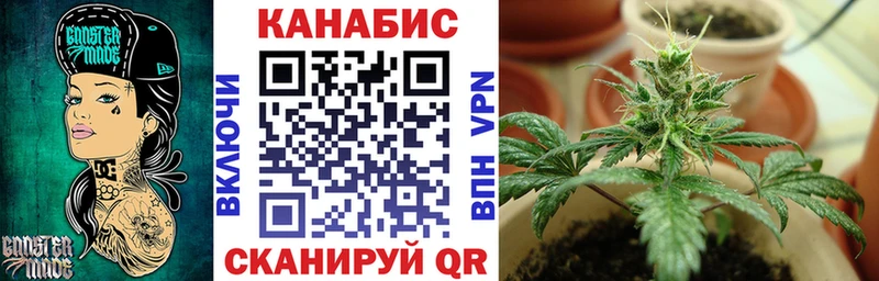 Бошки марихуана LSD WEED  как найти закладки  Тогучин 